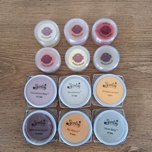 Scentsy Tester Lot 12 Testers Various Scents Wax 2 Sizes Small Large Samples